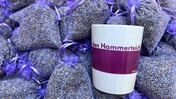 Hammerteichbecher Lavendel