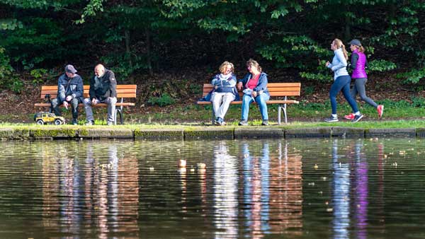 Neue Bänke am Hammerteich