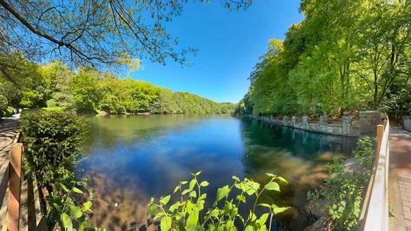 Frühling am Hammerteich