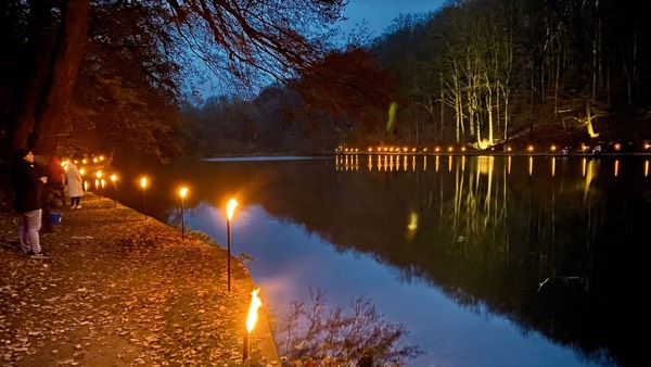 Leuchten und Glühen 3 am Teich