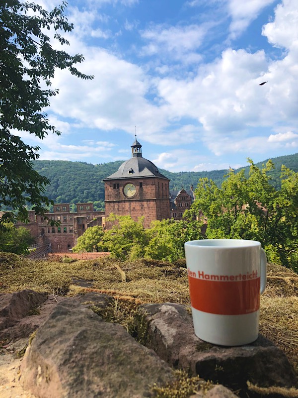 Hammerteichbecher Burg