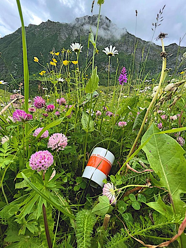 Hammerteichbecher Wiese