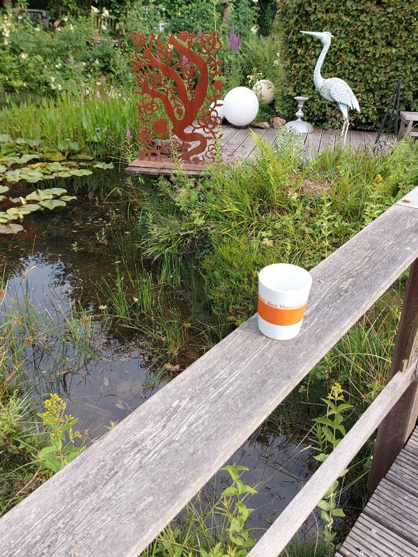 Hammerteichbecher Witten Gartenteich